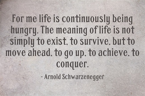 Funny Quotes About Being Hungry. QuotesGram