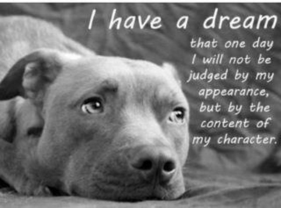 Dogs Dying For Beautiful Quotes QuotesGram dogs-dying-for-beautiful-quotes-quotesgram