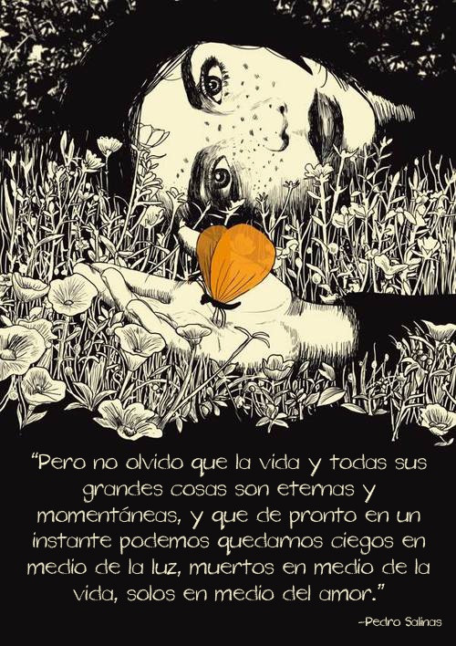 Don Pedro Quotes. QuotesGram