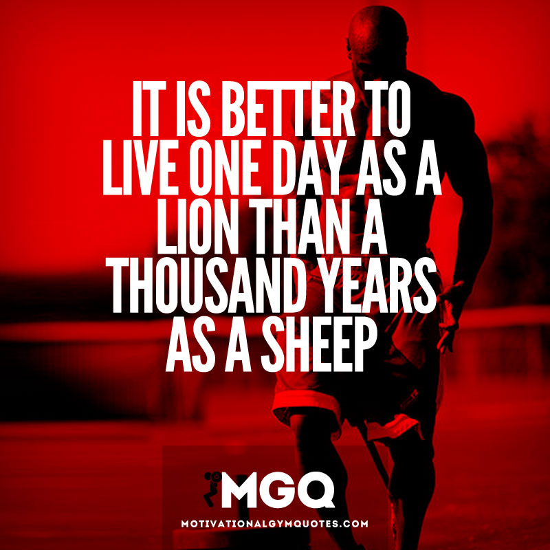 Motivational Quotes Lion And Sheep. QuotesGram