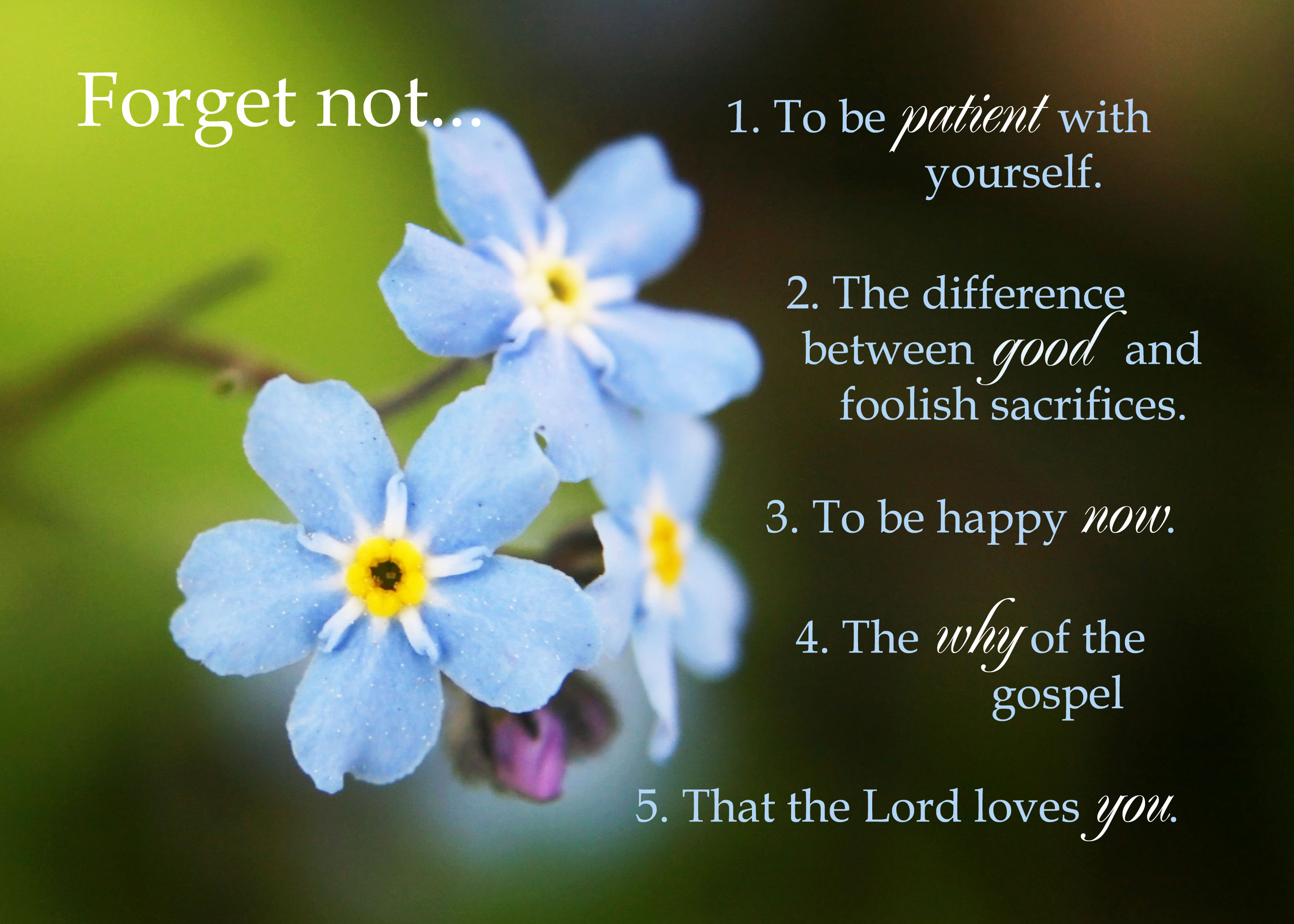 Forget Me Quotes QuotesGram