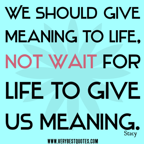 Meaning Of Life Funny Quotes Quotesgram
