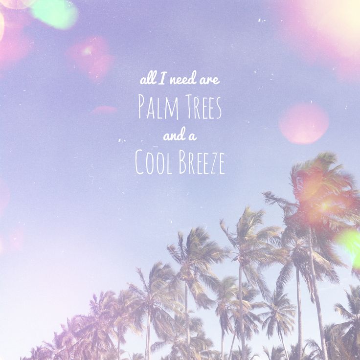Palm Tree Quotes. QuotesGram