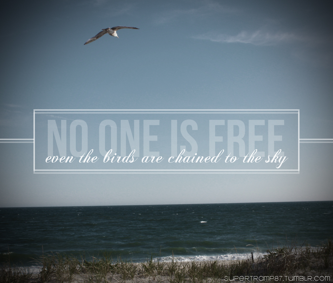 Quotes About Freedom And Birds Quotesgram