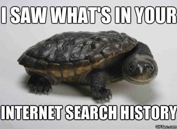 Slow Turtle Funny Quotes. QuotesGram
