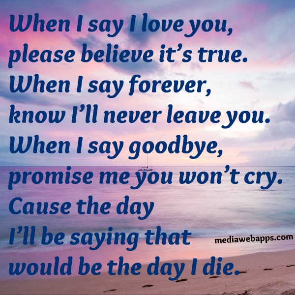 I Will Never Leave You Quotes Quotesgram I Will Never Leave You Quotes Quotesgram
