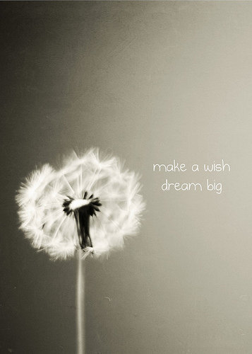 pics Dandelion Wish Quotes dandelion wish quotes quotesgram