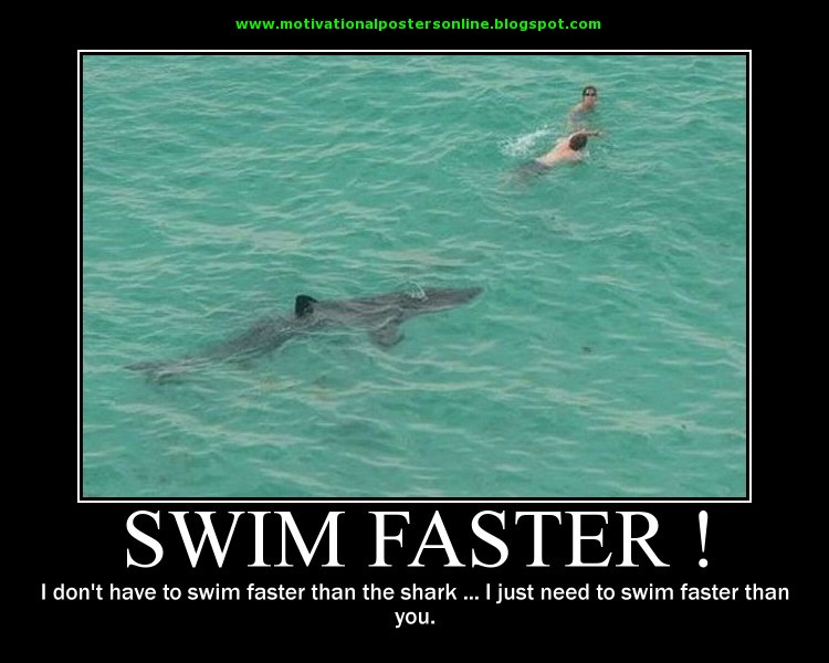 Funny Shark Quotes. QuotesGram