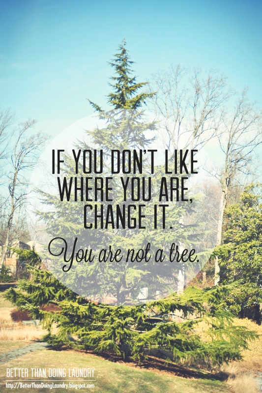 Dont Let Life Pass You By Quotes Quotesgram Dont Let Life Pass You By Quotes Quotesgram