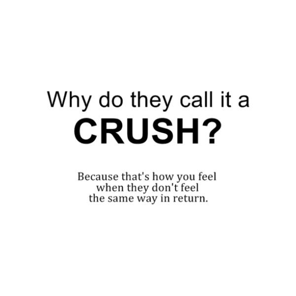 Crush Funny Quotes And Sayings Quotesgram