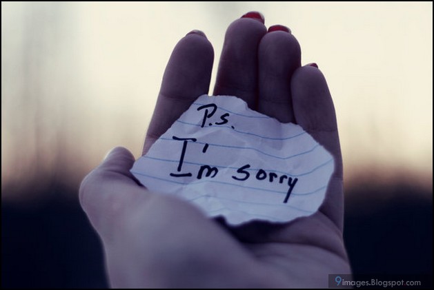 Sorry For Being A Jerk Quotes Quotesgram