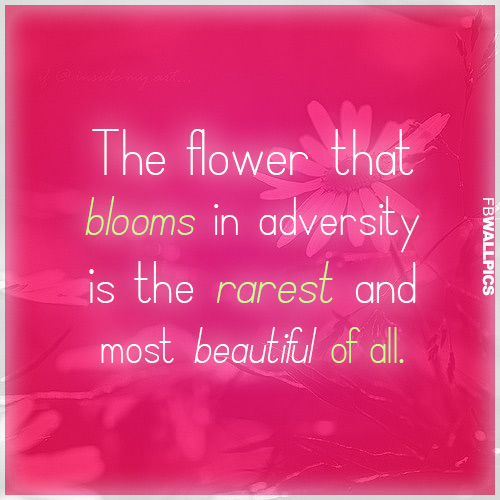 Inspirational Quotes About Flowers Blooming. QuotesGram