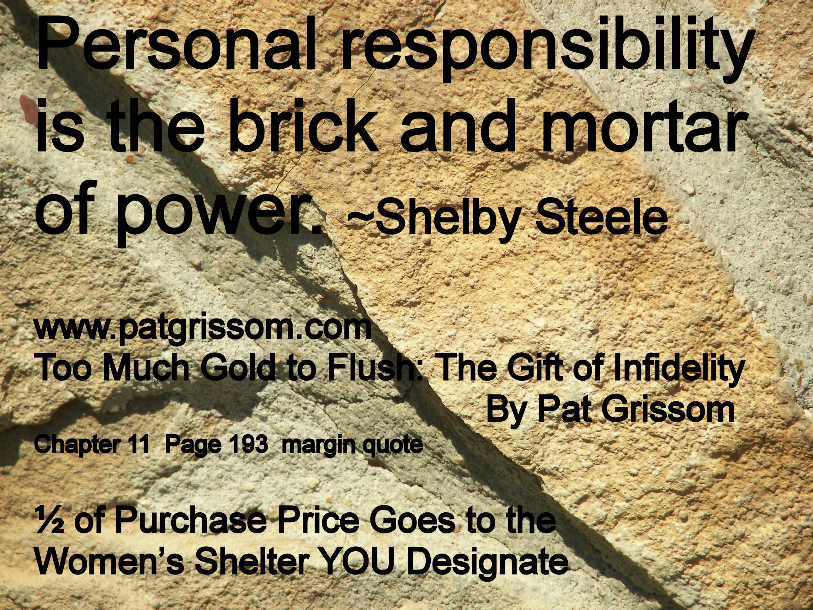 Реферат: Steele Shelby Essay Research Paper Shelby Steele