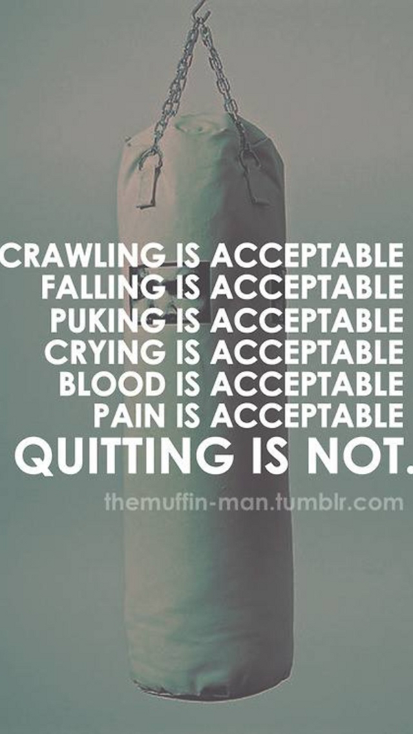 Quotes About Not Quitting. QuotesGram