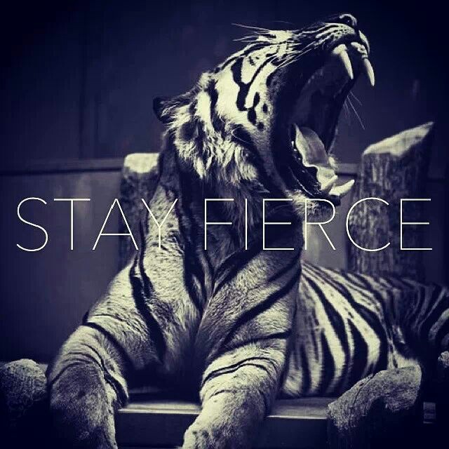 Be Fierce Quotes. QuotesGram
