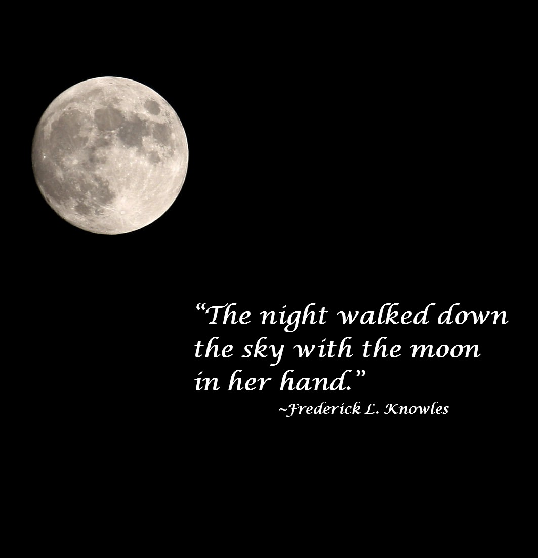 Moonlight Love Quotes For Her Quotesgram Moonlight Love Quotes For Her Quotesgram