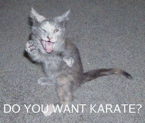 Funny Karate Quotes. QuotesGram Funny Karate Quotes. QuotesGram