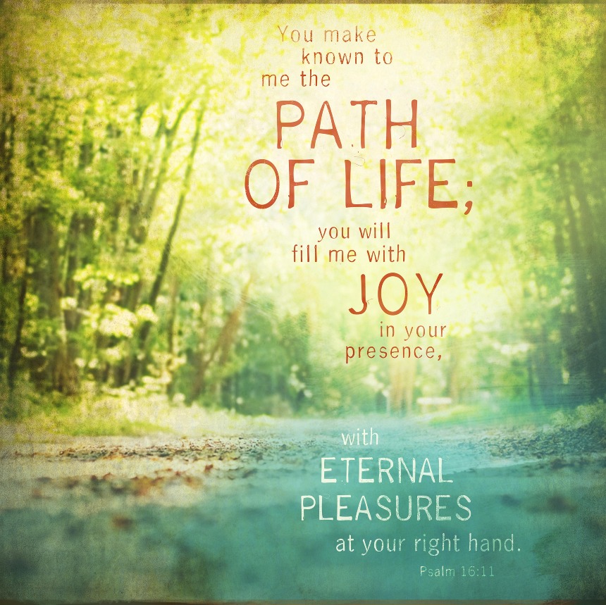 life path 22 4 life path 22 4