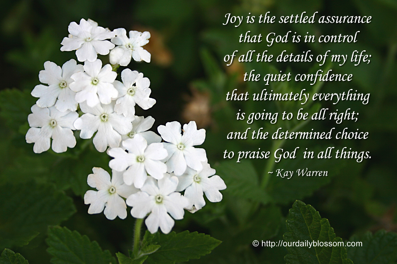 Joy In God Quotes. QuotesGram