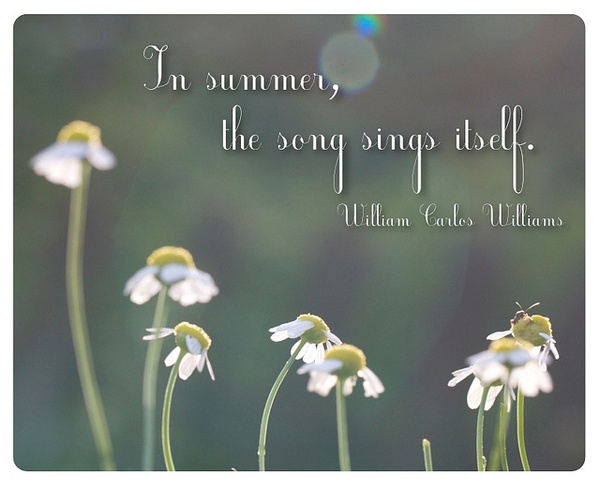 Summer Nature Quotes. QuotesGram