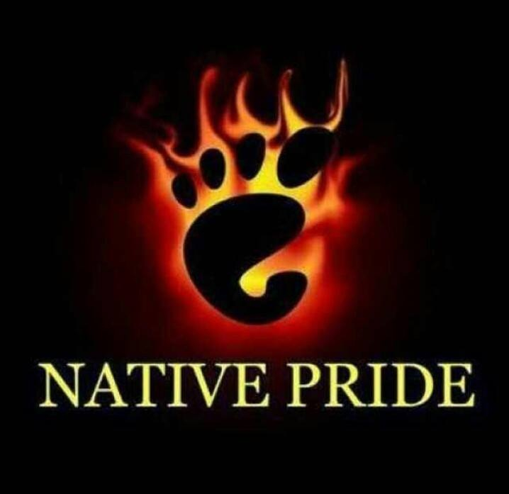Native Pride Quotes. QuotesGram