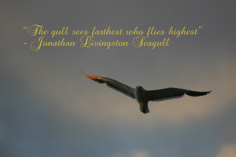 Richard Bach Jonathan Livingston Seagull Quotes