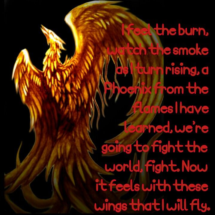 Quotes About The Phoenix Bird Quotesgram