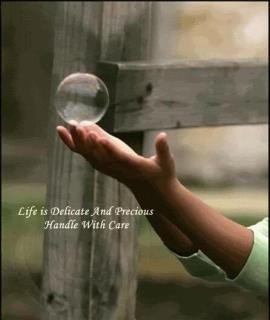 Care Life Quotes. Quotesgram