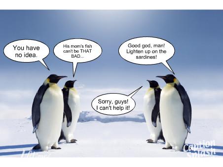 Funny Quotes About Penguins. QuotesGram