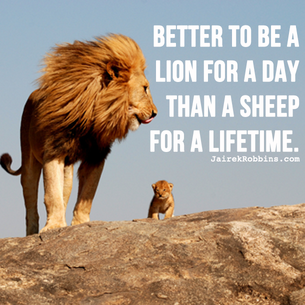 Lion Motivational Quotes QuotesGram