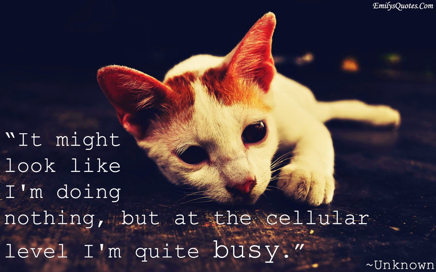 Take A Break Funny Quotes QuotesGram take-a-break-funny-quotes-quotesgram
