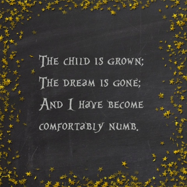 Comfortably Numb Quotes Quotesgram