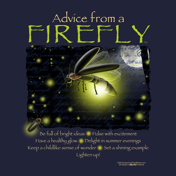 Firefly Light Quotes