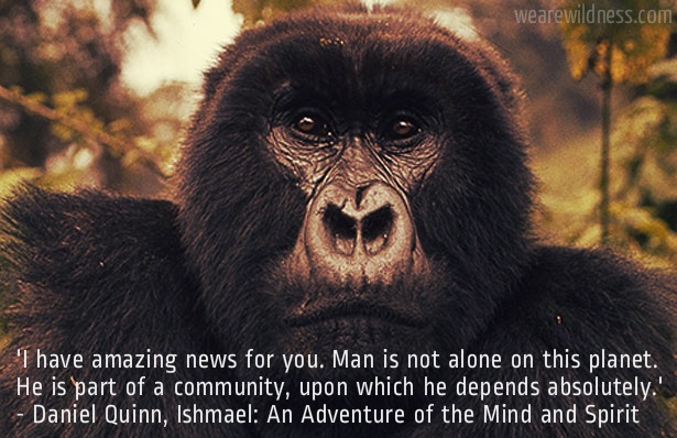 Ishmael Quinn Quotes Quotesgram