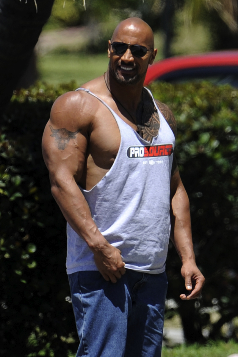Dwayne Johnson Gay Movie Quotes Quotesgram
