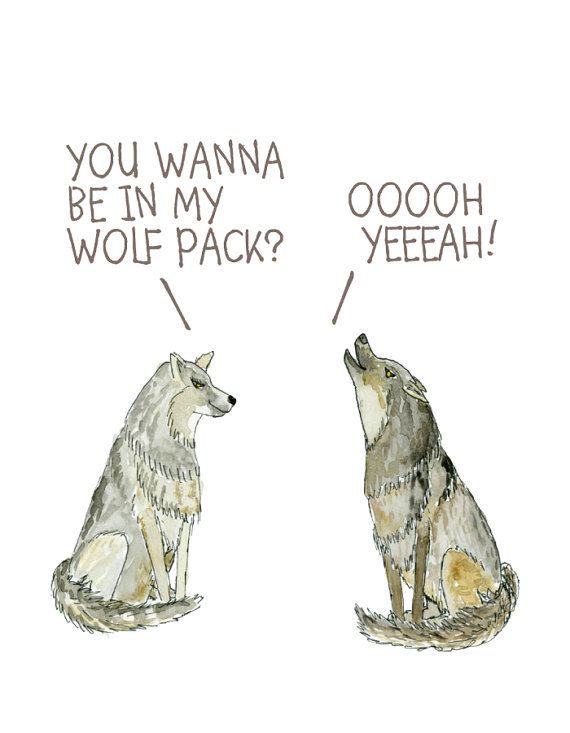 Wolf pack love image