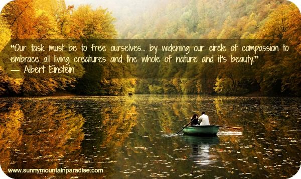 Quotes By The Lake. QuotesGram