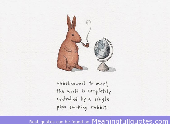 Rabbit Quotes. QuotesGram