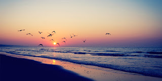 Beach Quotes Funny Facebook Covers Quotesgram Beach Quotes Funny Facebook Covers Quotesgram