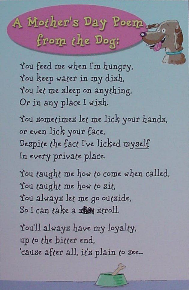 Mother Dog Quotes Quotesgram
