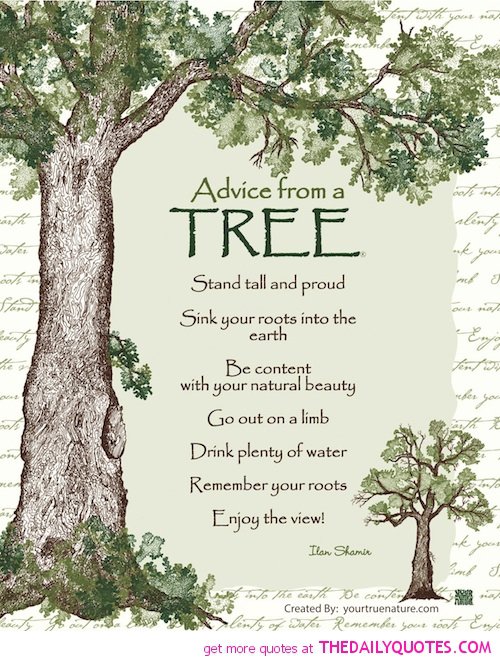 Tree Tree Poems Famous Quotes. QuotesGram