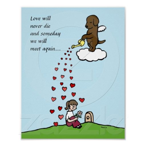 Dogs Are Angels Quotes. QuotesGram