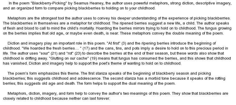 Blackberry picking essay