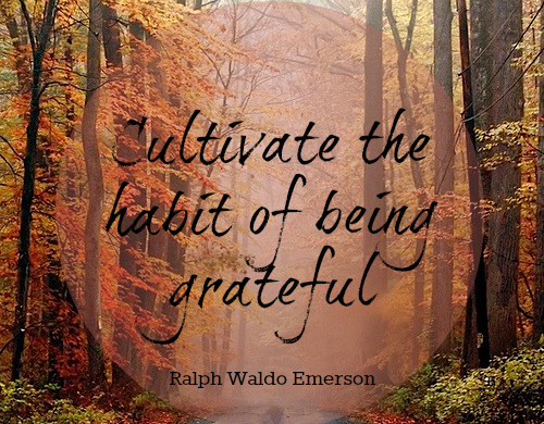 Emerson Gratitude Quotes. QuotesGram
