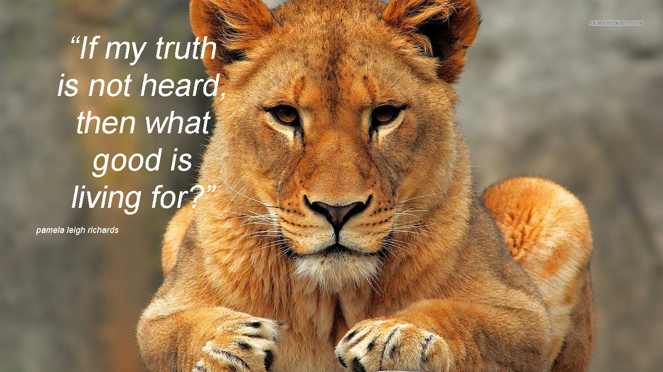 Lion And Lioness Quotes And Saying Quotesgram