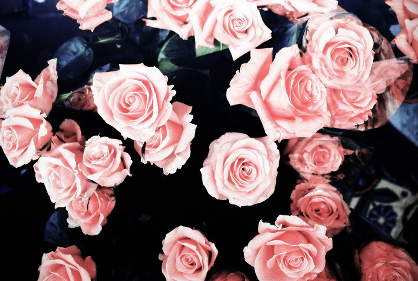 Girly Hd Wallpaper With Quotes Quotesgram
