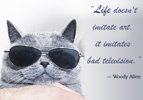 Very Funny But True Quotes QuotesGram