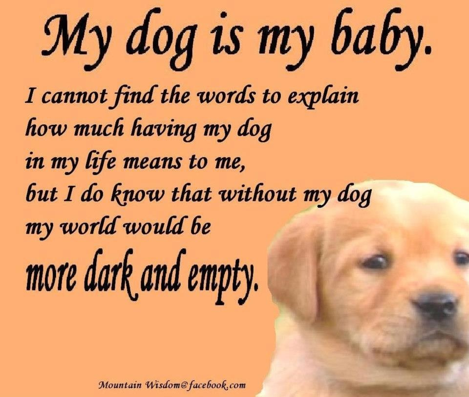 My Dog My Friend Quotes. QuotesGram