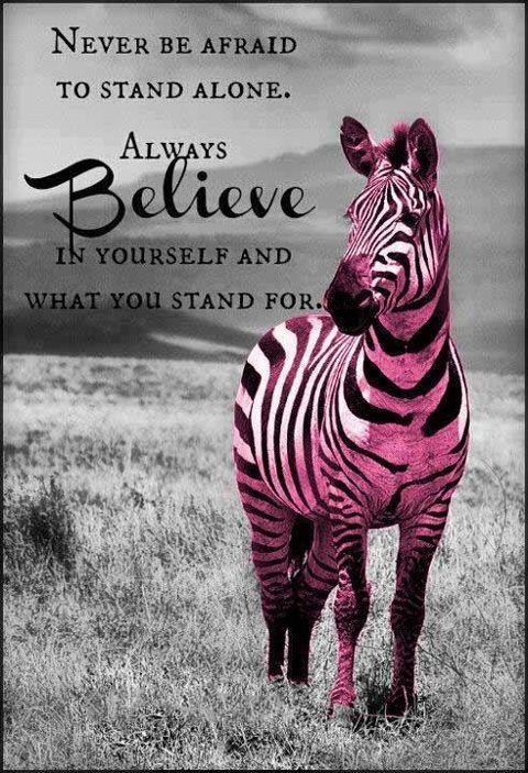 Zebra Quotes. QuotesGram