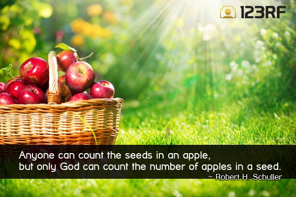 Inspirational Quotes About Apples. QuotesGram